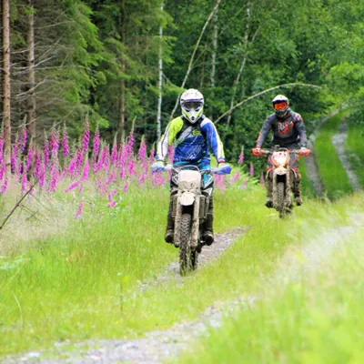 Enduro riders on a forest track